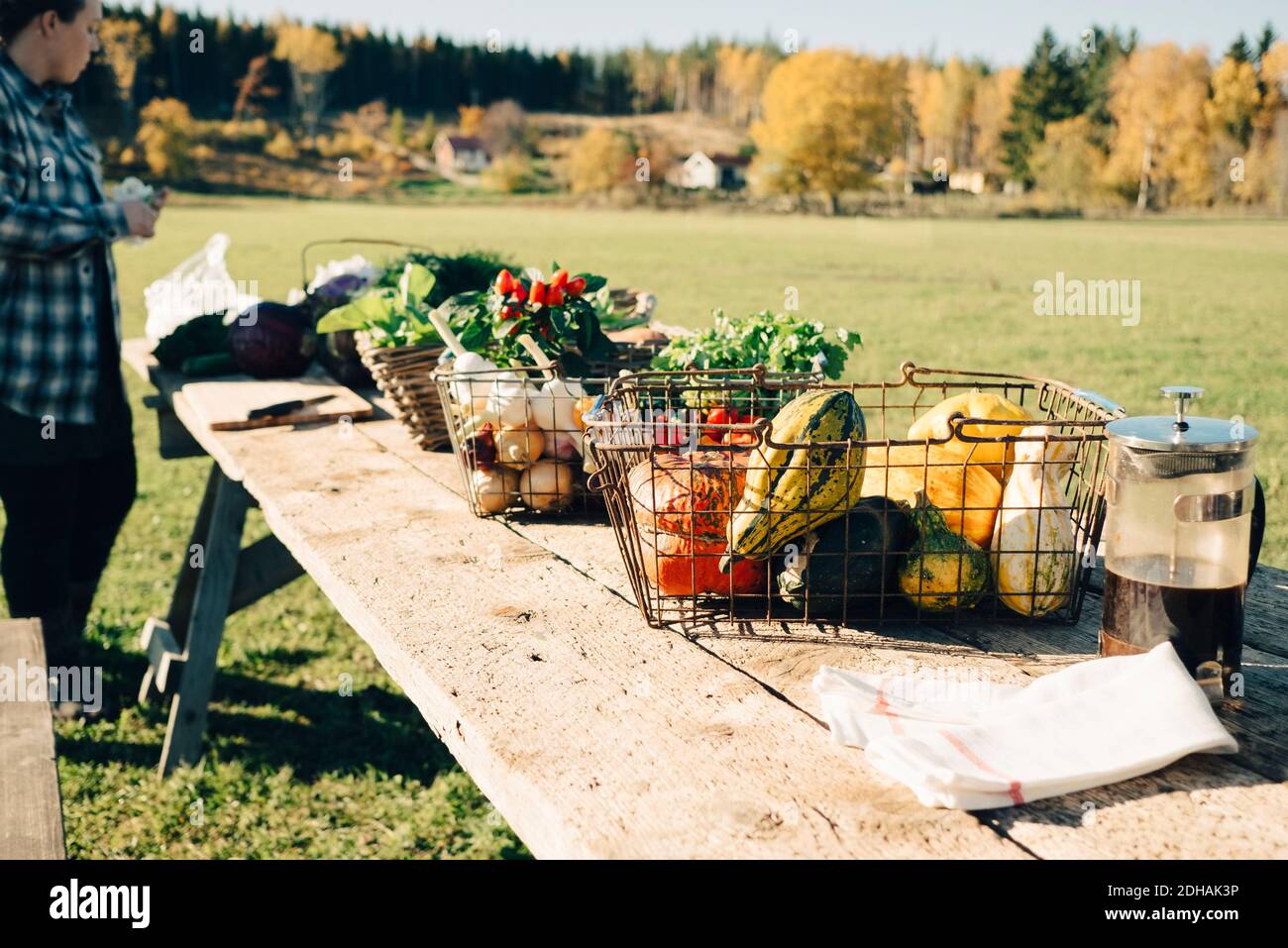 Vielfalt an Bio-Gemüse in Körben auf dem Tisch zum Verkauf Auf dem Bauernmarkt Stockfoto