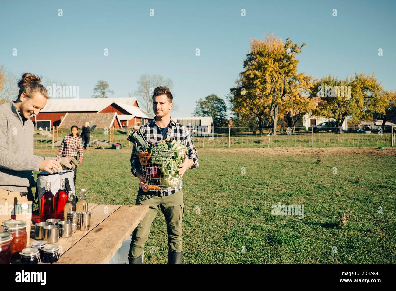 Männliche Bauer Tisch arrangieren, während Freund trägt Korb aus Bio Gemüse auf dem Feld Stockfoto
