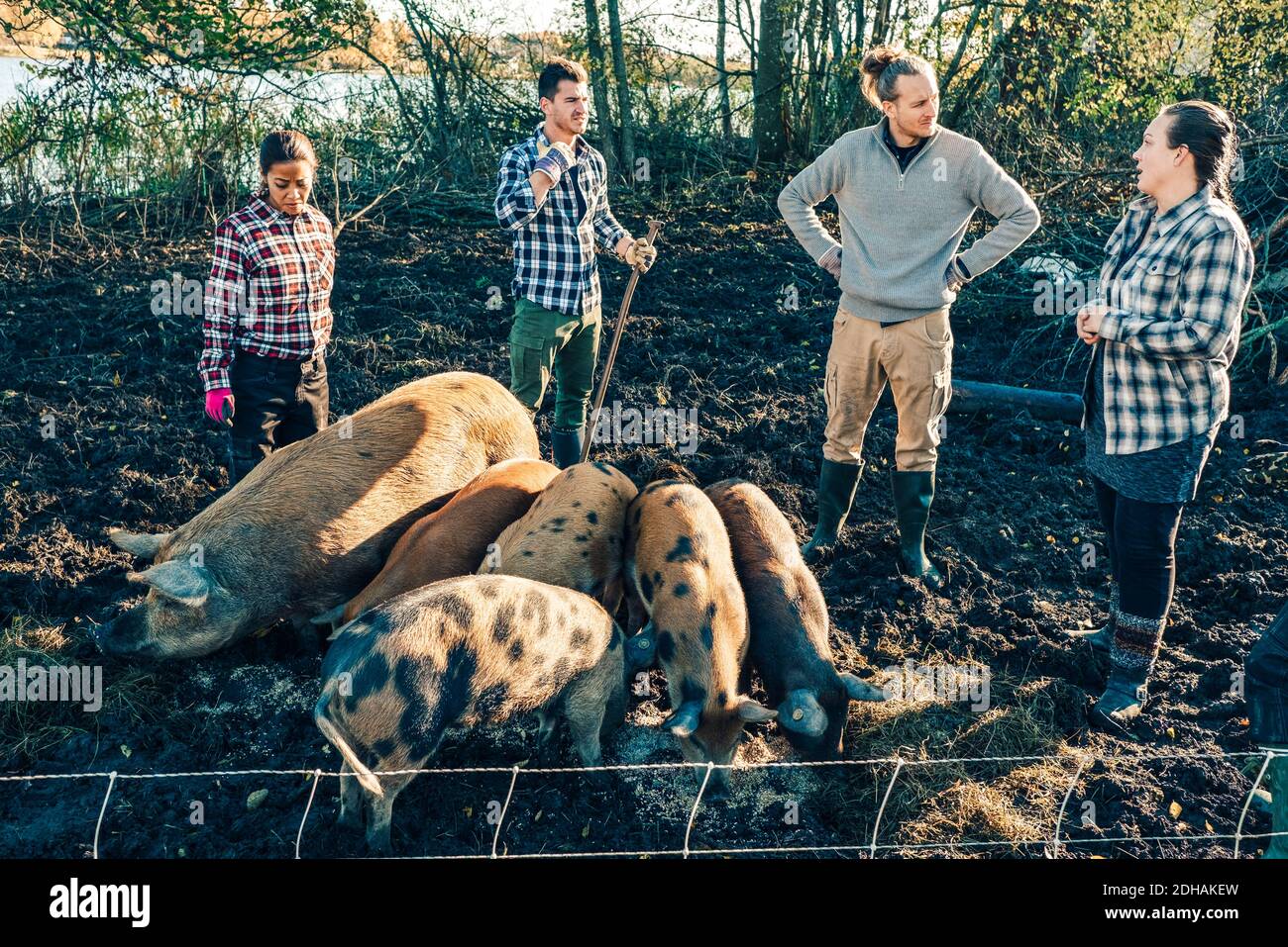 Mid adult weibliche Instruktorin im Gespräch mit Bauern von Schweinen auf Bio-Bauernhof Stockfoto