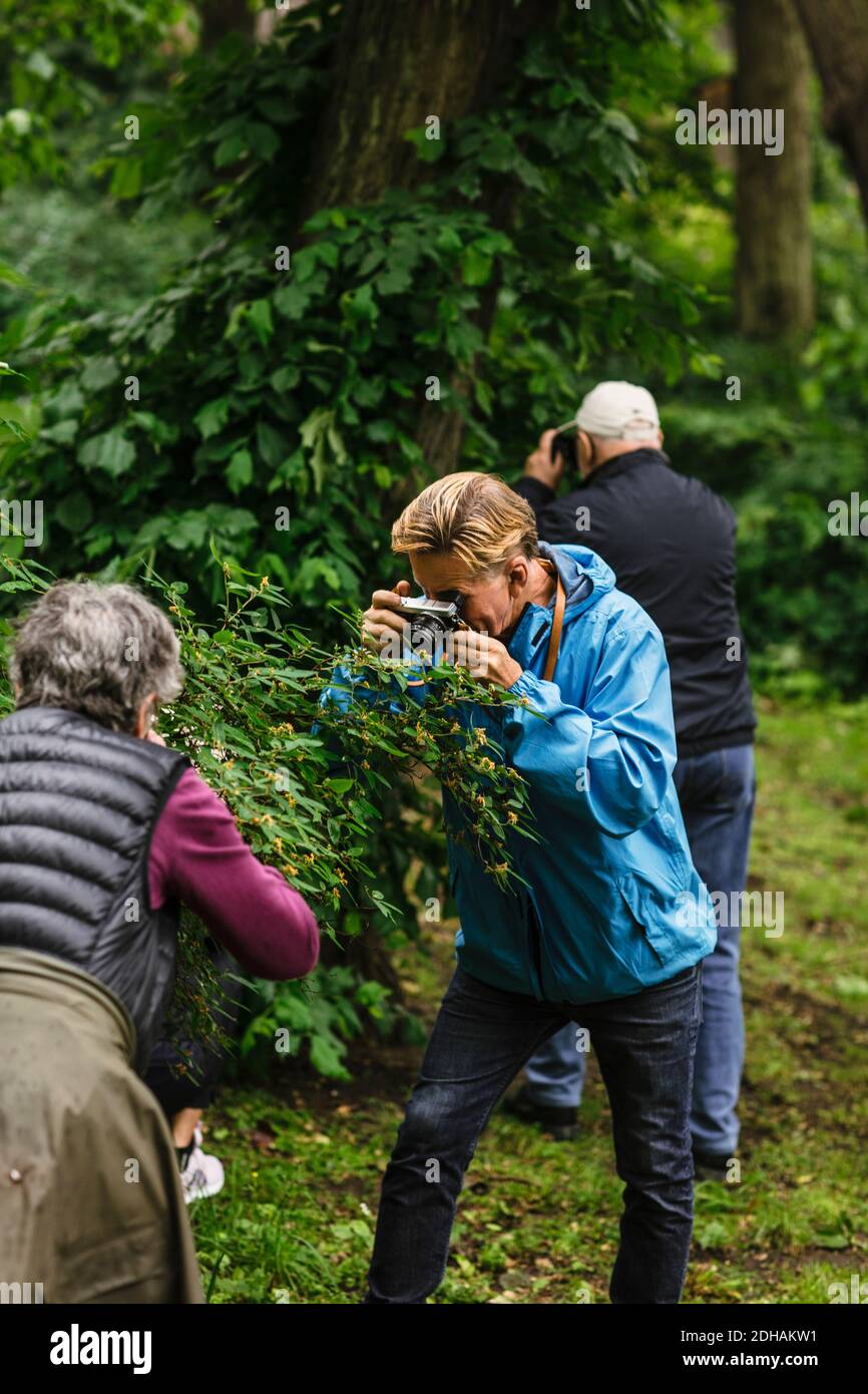 Ältere männliche und weibliche Freunde fotografieren Pflanzen durch die Kamera während Fotokurs Stockfoto