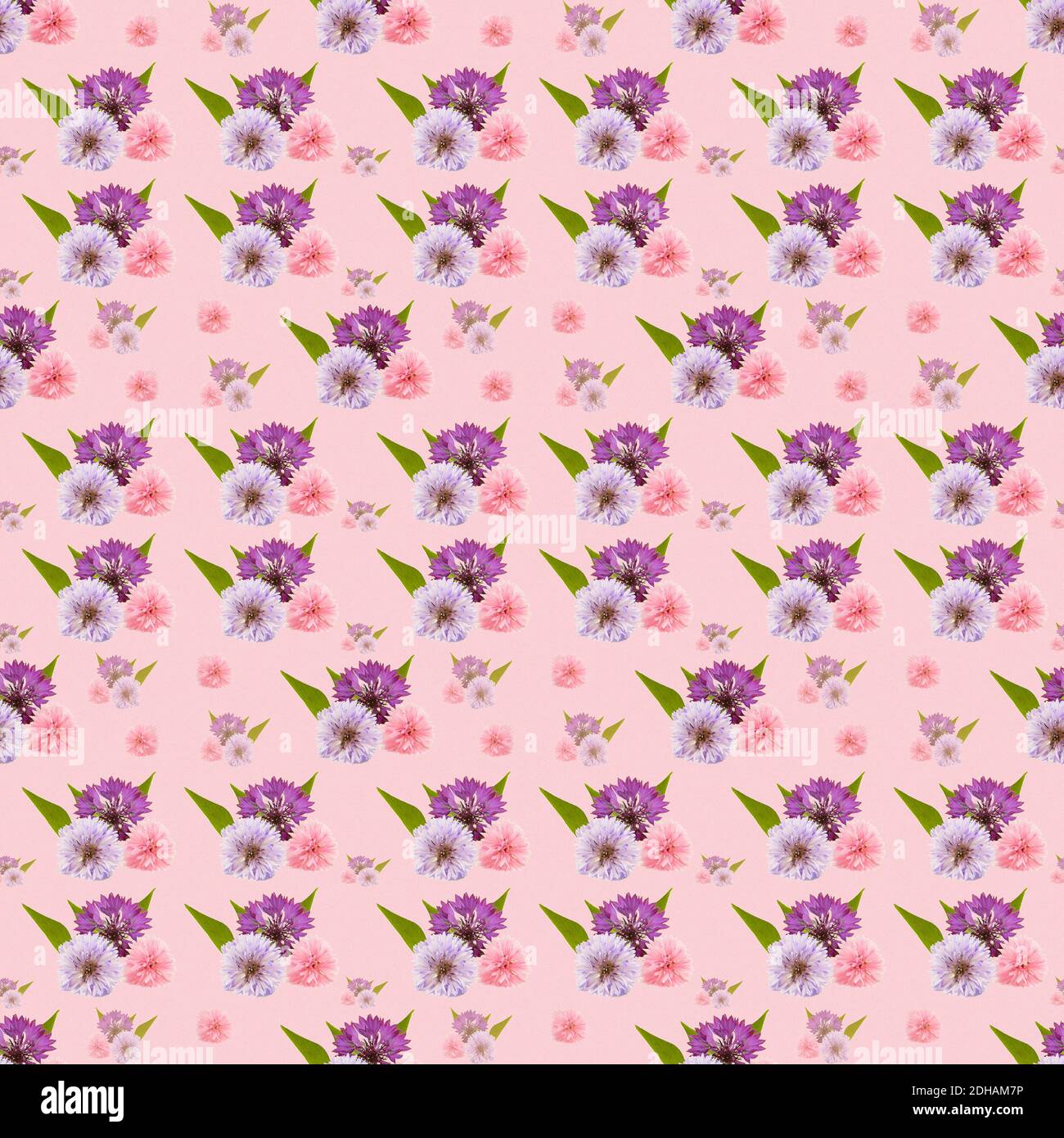 Nahtlose Muster Kornblumen in einer wiederholbaren Fliesenanordnung ideal für Schreibwaren und Stoffe , hübsch auf einem rosa Hintergrund Stockfoto
