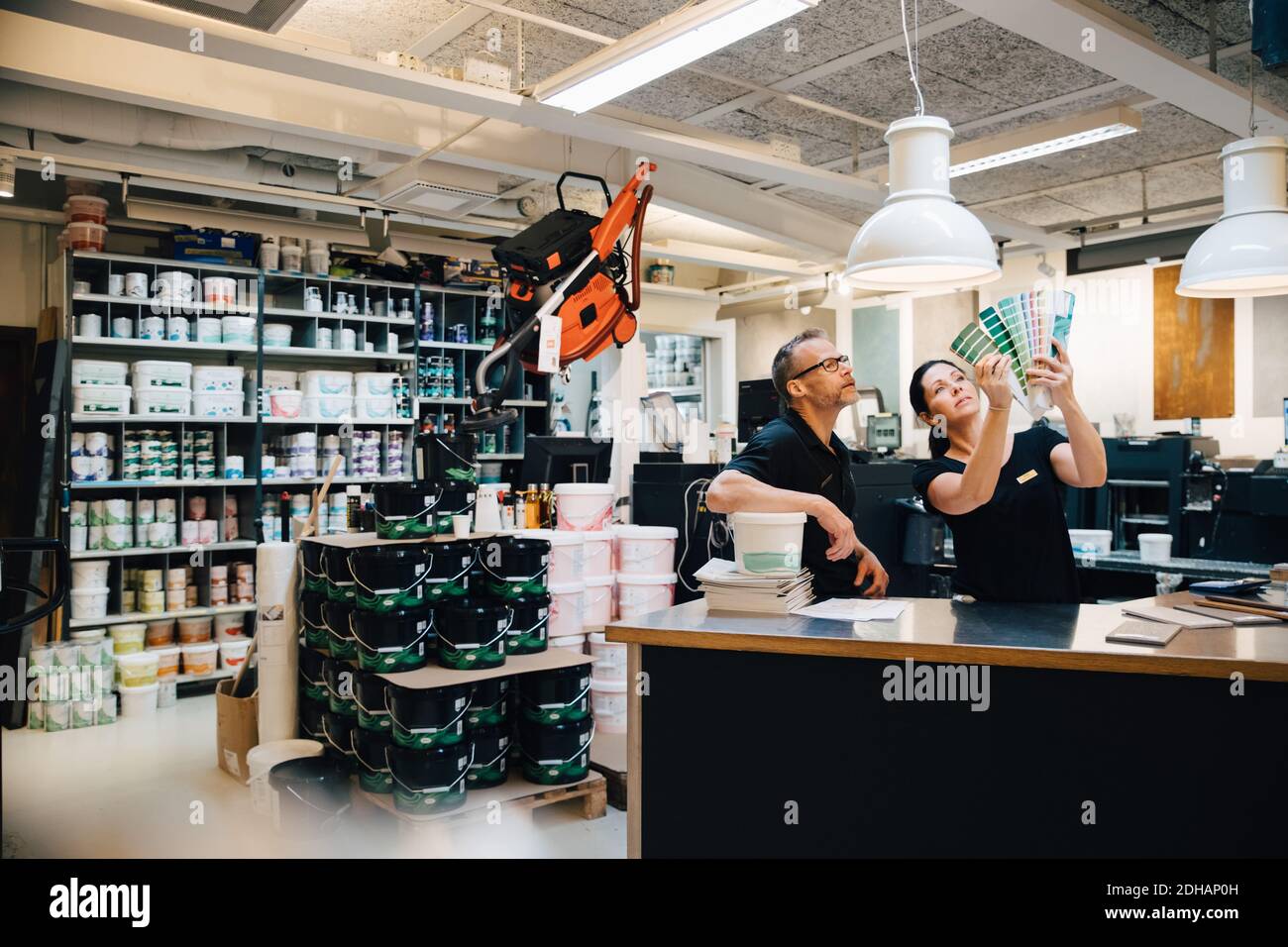 Weibliche Angestellte, die bei der Hardware Farbmuster zeigt Speichern Stockfoto