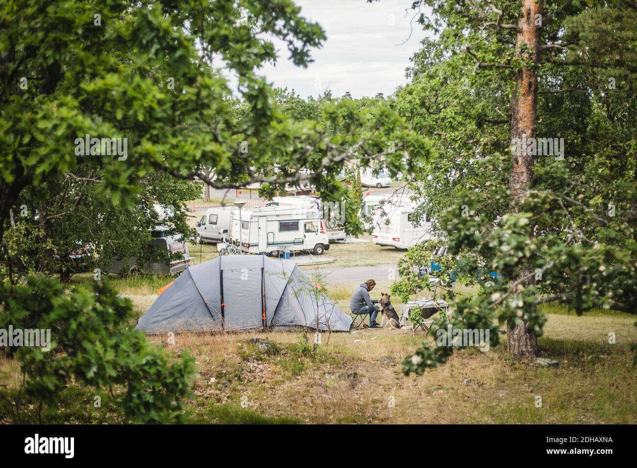 Mann spielt mit Hund im Zelt auf dem Campingplatz Stockfoto