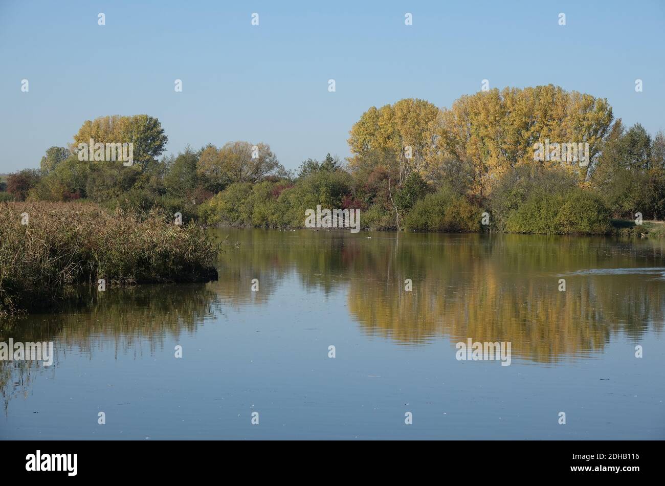 Reinheimer teich Fotos und Bildmaterial in hoher Auflösung Alamy