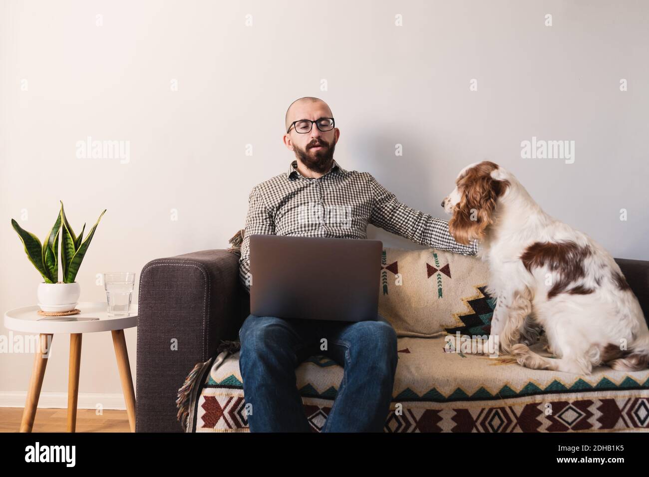 Mann, der zu Hause arbeitet, Hund, der Aufmerksamkeit sucht. Remote arbeiten, Sperren, Quarantäne Lifestyle-Konzept: Versuchen, online von zu Hause aus mit Haustieren chatten Stockfoto
