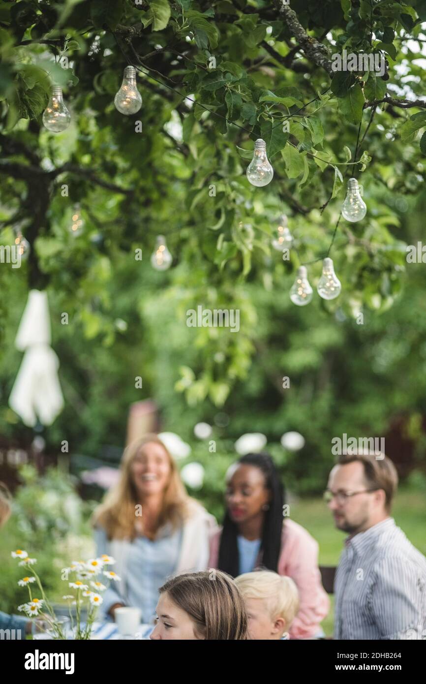 Beleuchtete Lichter hängen am Baum, während die Leute Party in genießen Garten Stockfoto