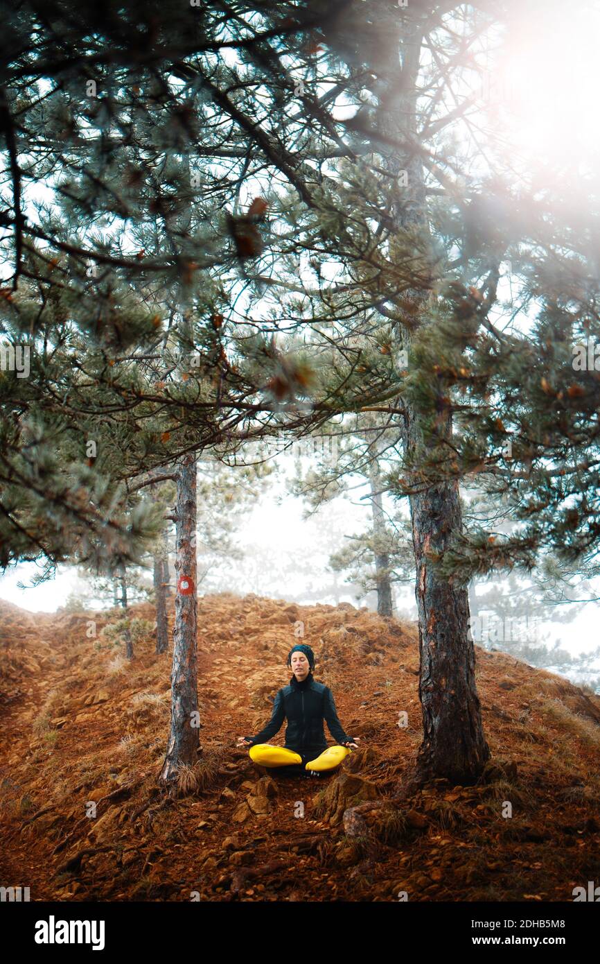 Frau meditiert und praktiziert Yoga im schönen Pinienwald Stockfoto