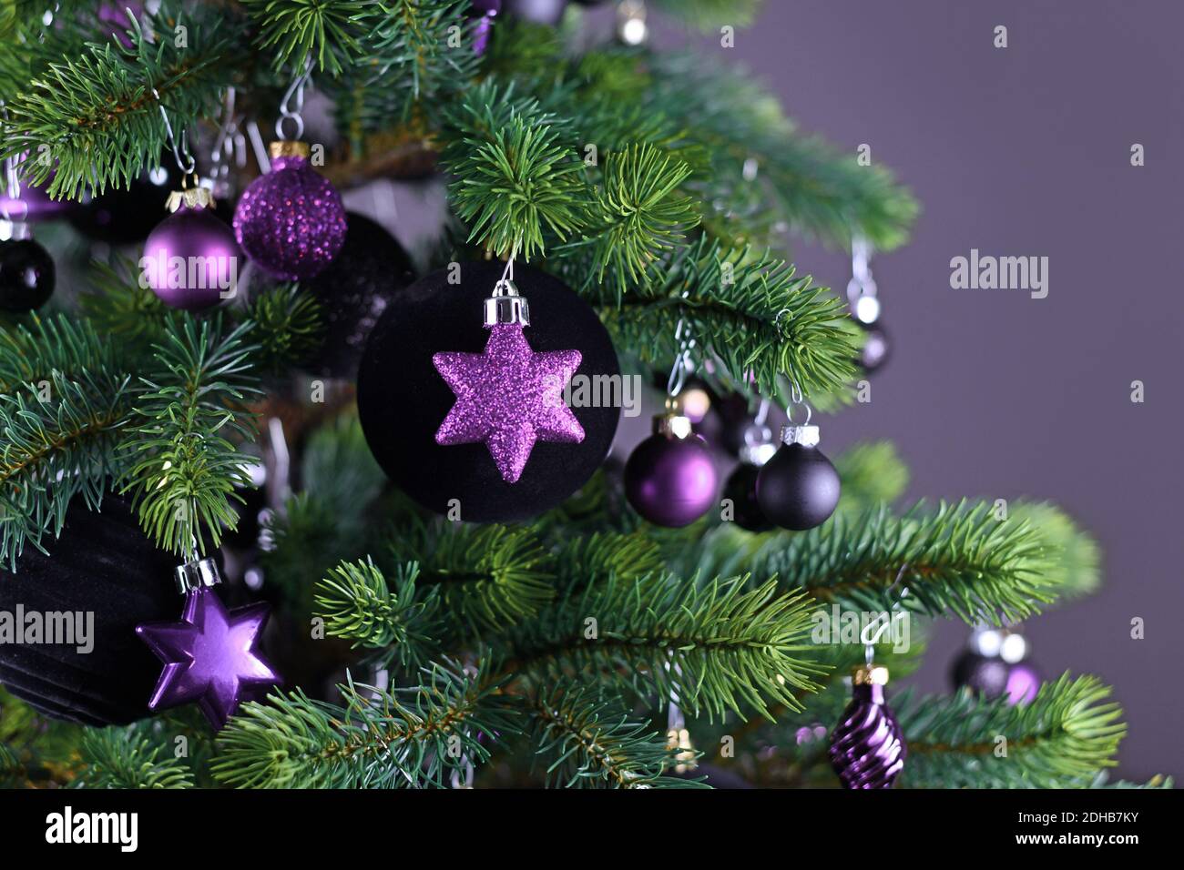 Nahaufnahme der sternförmigen lila Glas Baum Ornament Kugel Mit dekorierten Weihnachtsbaum mit anderen saisonalen Baumschmuck auf Dunkelgrauer Hintergrund Stockfoto