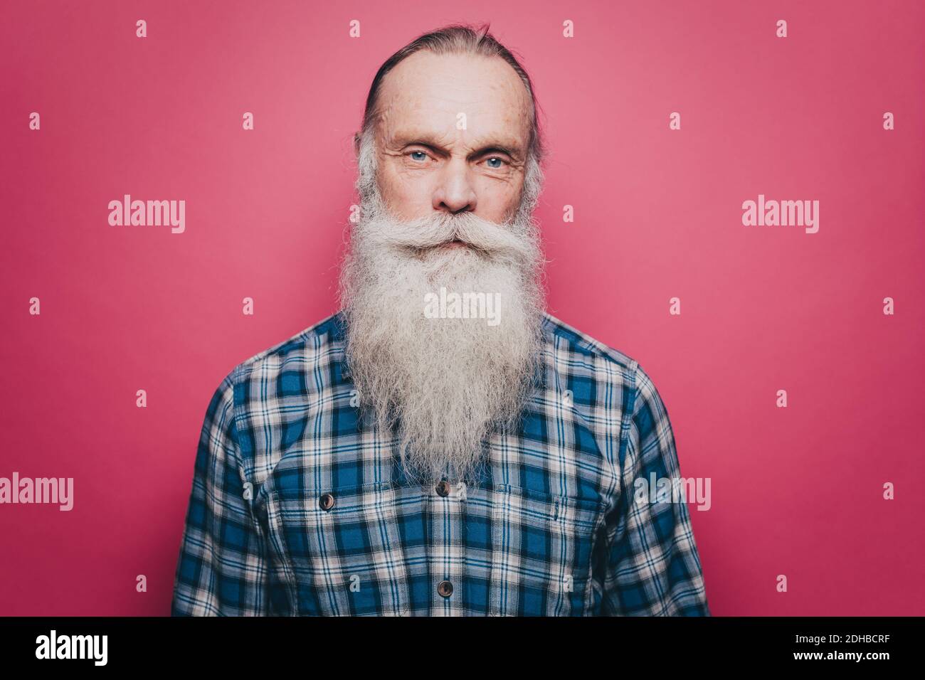 Porträt von selbstbewussten älteren Mann mit langen weißen Bart gegen Rosa Hintergrund Stockfoto