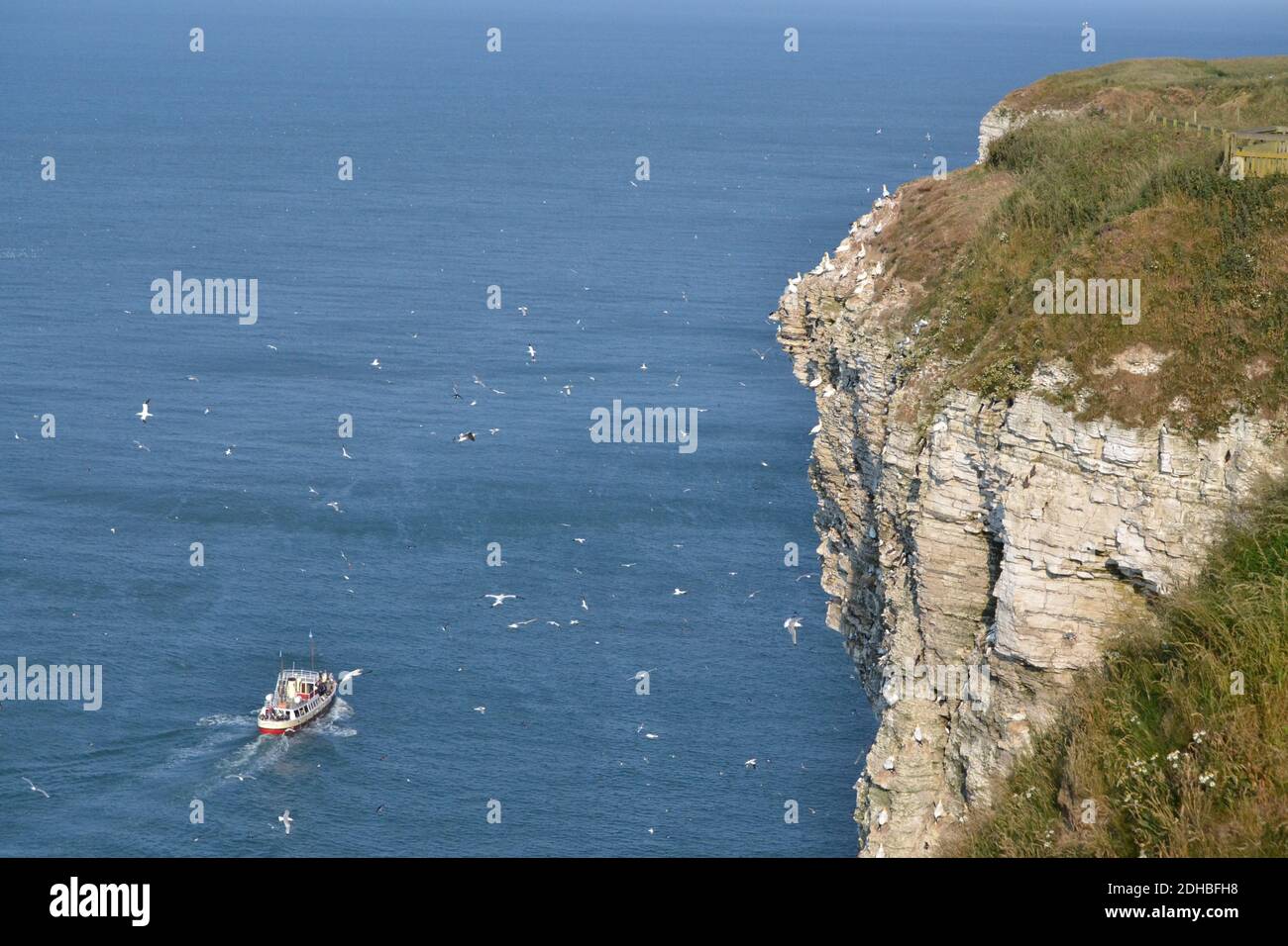 Bempton Cliffs mit Boot unten = Yorkshire - UK Stockfoto