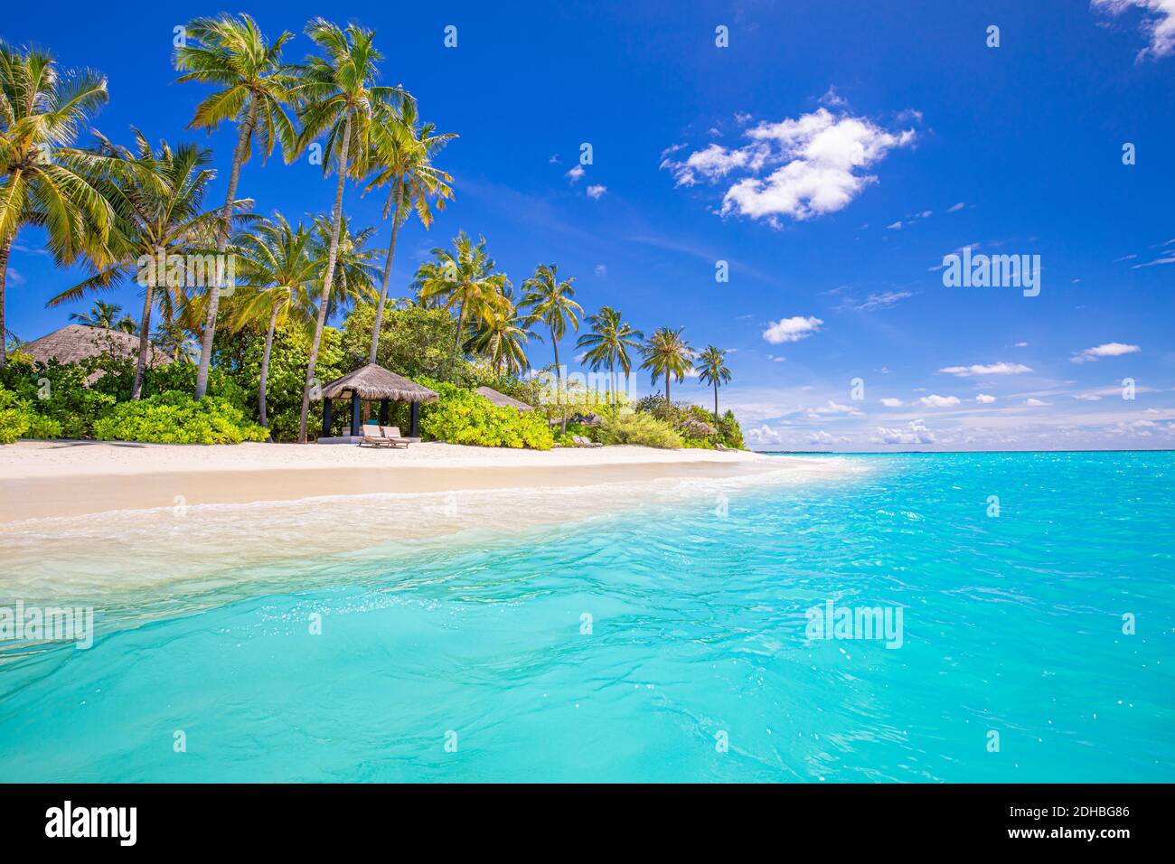 Wunderschönes tropisches Strandbanner. Weißer Sand und Kokopalmen Reisen Tourismus Panorama. Erstaunlich inspirieren Strandlandschaft. Luxusurlaub auf der Insel Stockfoto