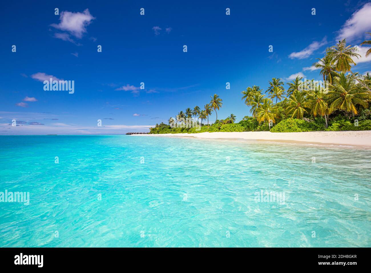 Wunderschönes tropisches Strandbanner. Weißer Sand und Kokopalmen Reisen Tourismus Panorama. Erstaunlich inspirieren Strandlandschaft. Luxusurlaub auf der Insel Stockfoto