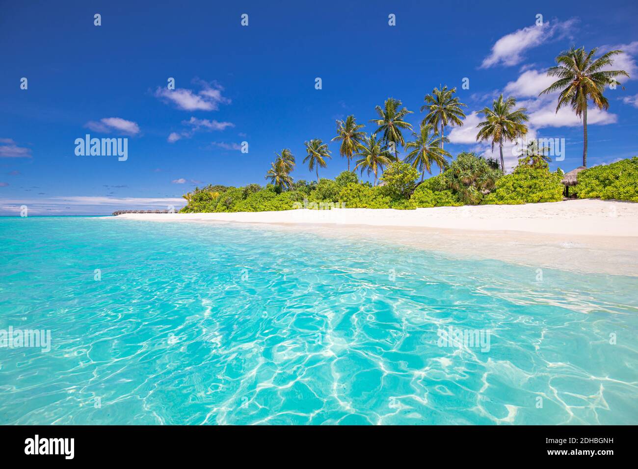 Wunderschönes tropisches Strandbanner. Weißer Sand und Kokopalmen Reisen Tourismus Panorama. Erstaunlich inspirieren Strandlandschaft. Luxusurlaub auf der Insel Stockfoto
