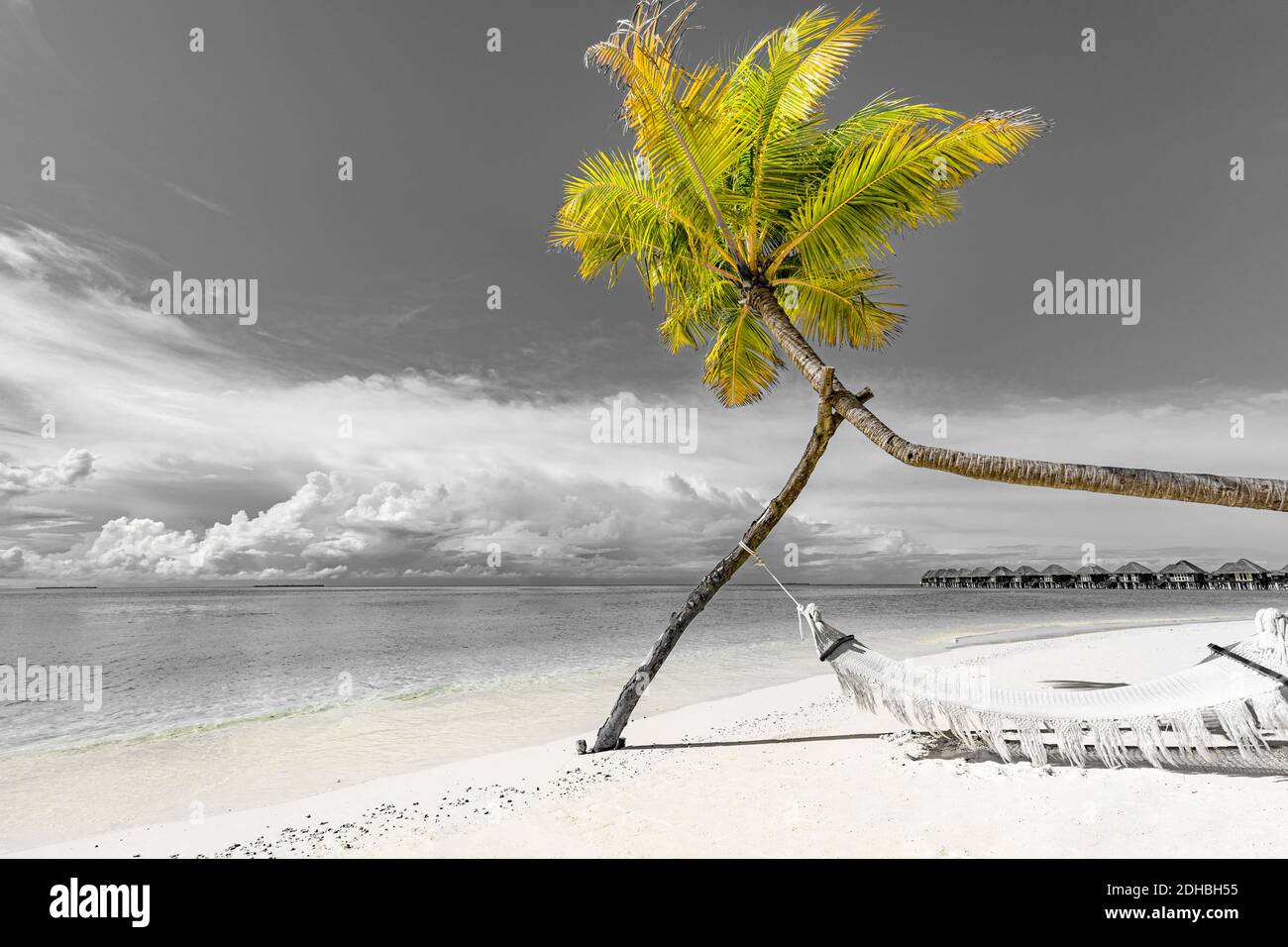 Selektive Farbe tropischen Strand Hintergrund als Sommerlandschaft mit Strand Schaukel oder Hängematte monochromen Strand Banner. Perfekter Strandurlaub Stockfoto