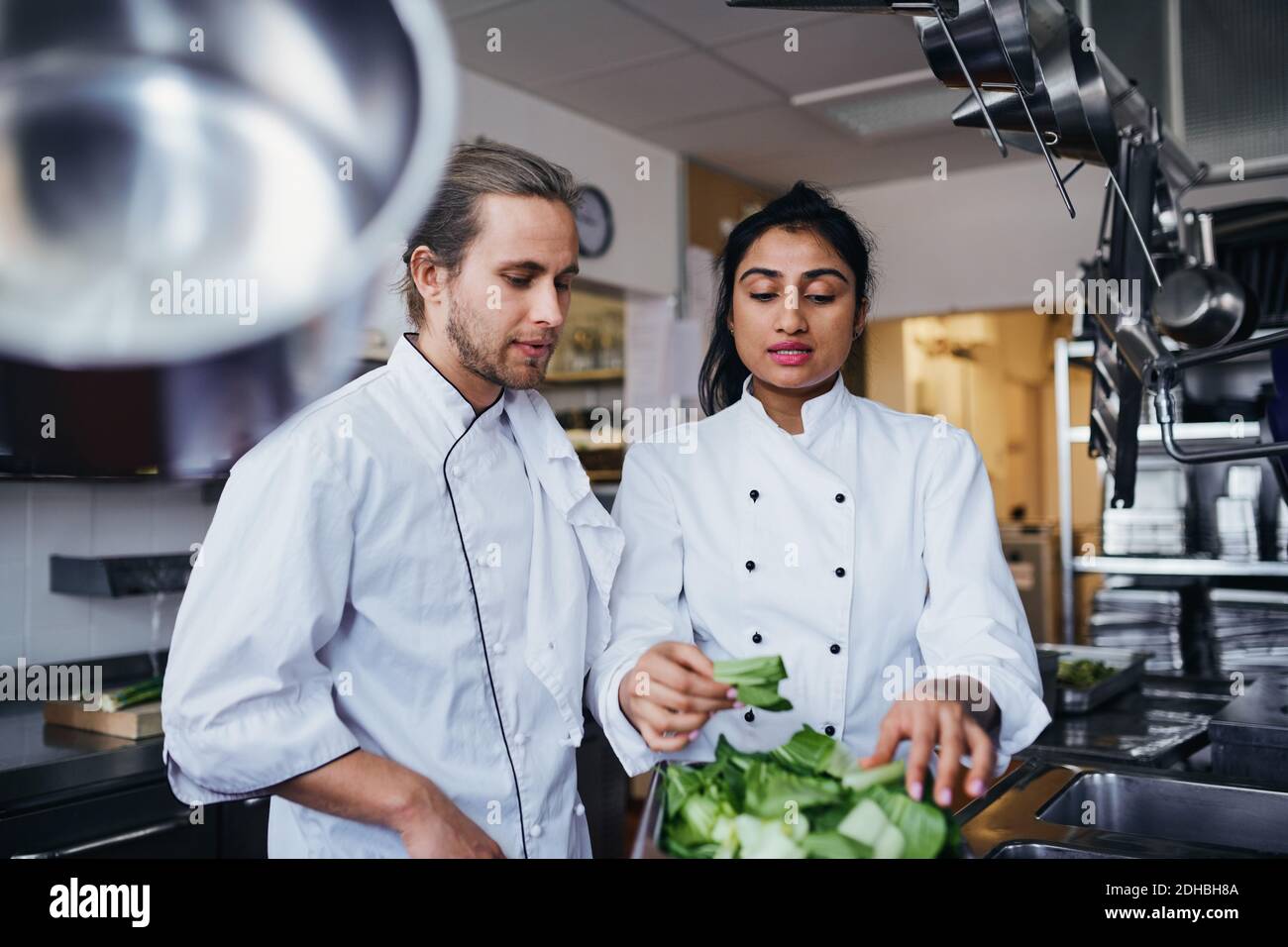 Weibliche Köchin diskutiert mit Kollegen über Gemüse in der kommerziellen Küche Stockfoto