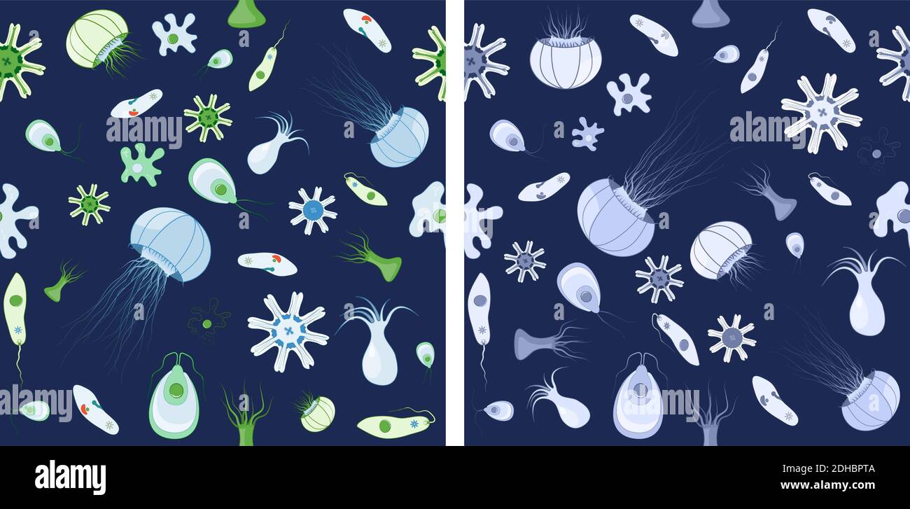 Zwei nahtlose Muster. Hintergrund mit Quallen, Amöben, Paramecium und anderen Tieren. Vektor-Hintergrund für Ihr Design, biologische, Wissenschaft Stock Vektor