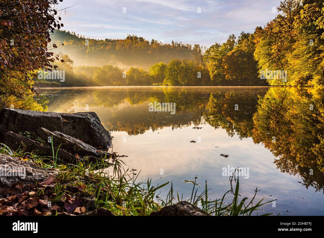 Nebelsee-Landschaft mit Herbstlaub und Baumreflexen in der Steiermark, Thal, Österreich Stockfoto