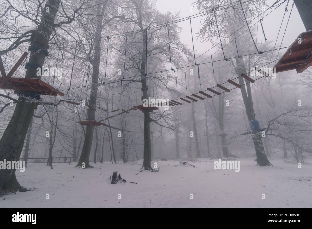 Leere Adrenalin Seil Spielplatz in Baumstämmen in nebligen und Nebliger Winterwald Stockfoto