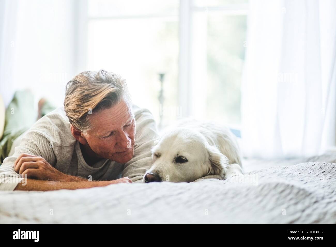 Nahaufnahme eines älteren Mannes, der beim Liegen einen niedlichen Hund ansieht Auf dem Bett im Schlafzimmer Stockfoto