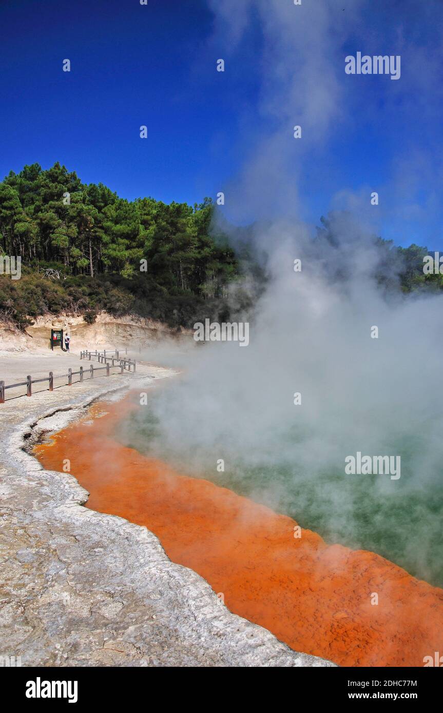 Champagne Pool, Wai-O-Tapu Thermal Wonderland Waiotapu, Bay of Plenty, Neuseeland Stockfoto