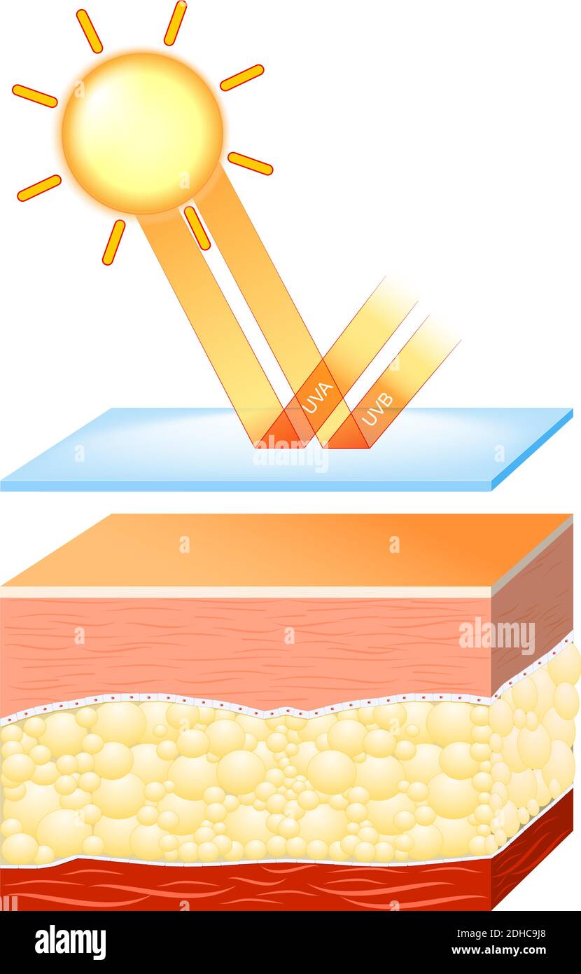 uv-Schutz für empfindliche Haut. Die Sonnencreme schützt die Haut vor schädlicher Strahlung (UVA- und UVB-Strahlen) Stock Vektor