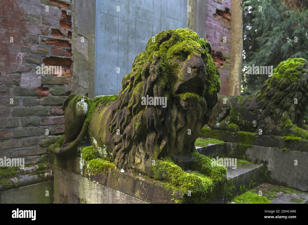 Moosbedeckte Steinskulpturen von Löwen. Stockfoto