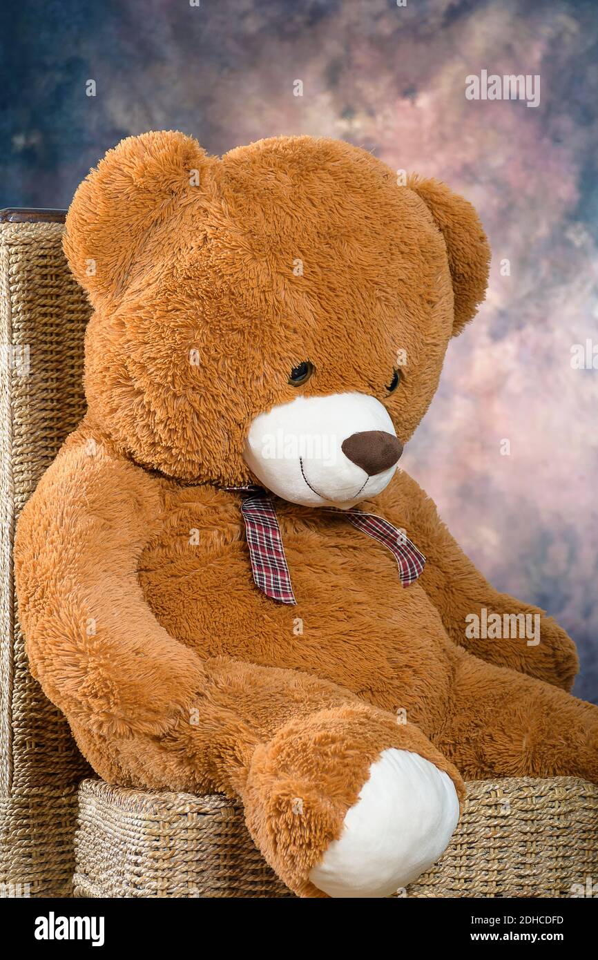 Giant teddy -Fotos und -Bildmaterial in hoher Auflösung – Alamy
