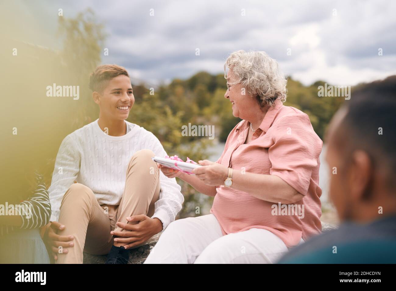 Lächelnde Großmutter, die während des Picknicks dem Enkel im Park ein Geschenk gibt Stockfoto