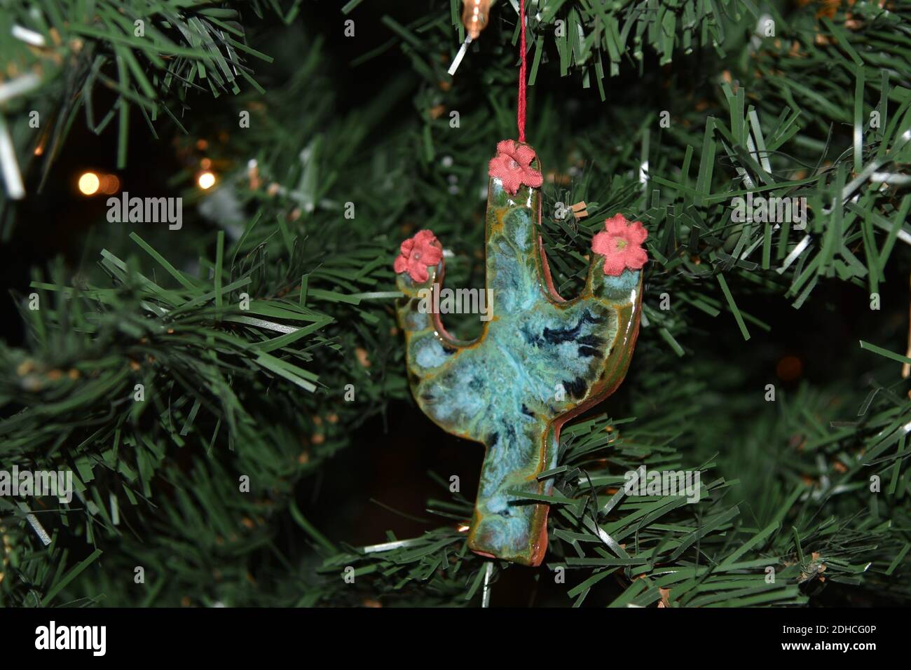 Kaktus weihnachtsbaum -Fotos und -Bildmaterial in hoher Auflsung  Alamy