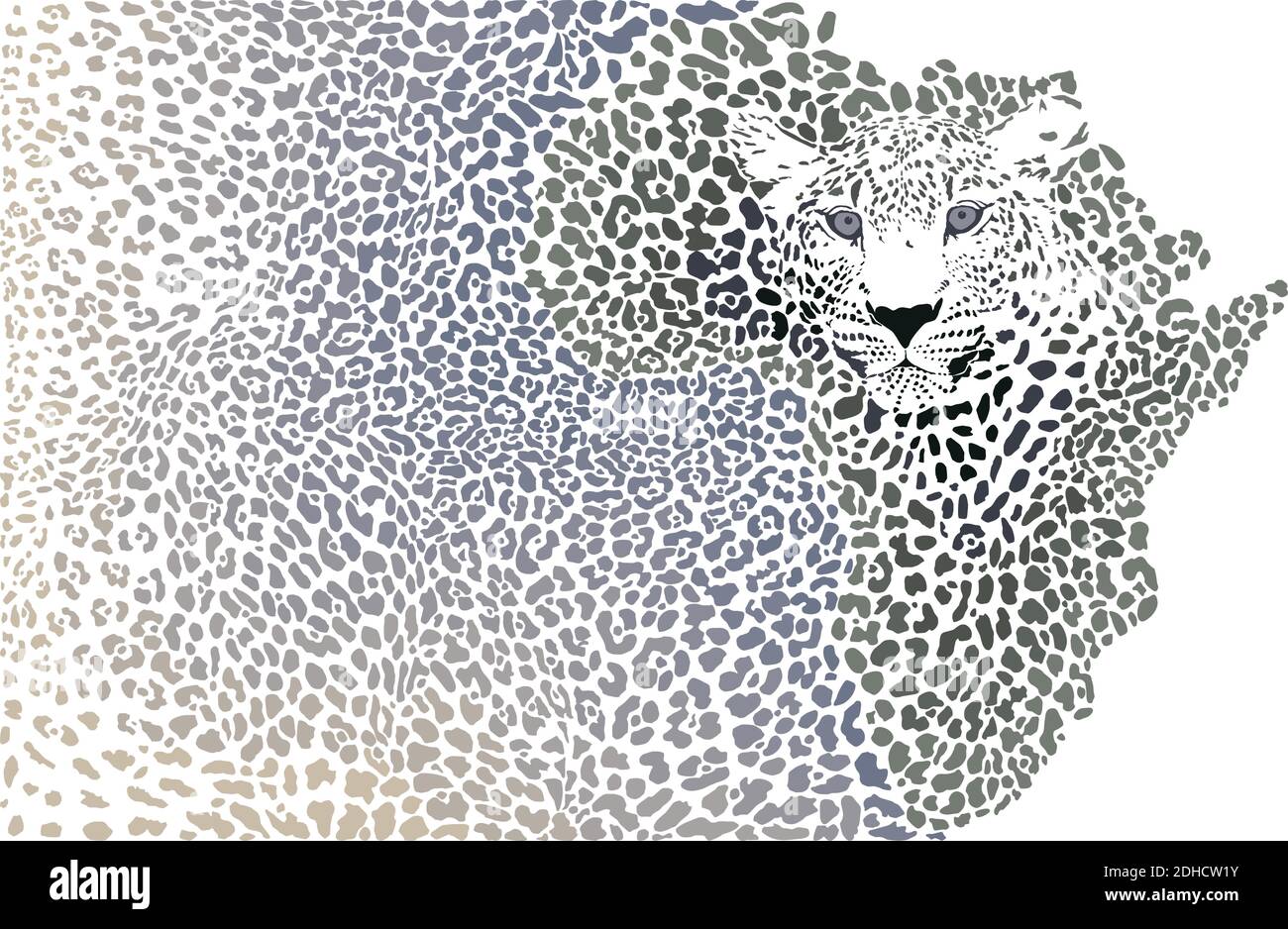 Afrikanischer Leopard - Hintergrund der Kontinentalkarte Stock Vektor