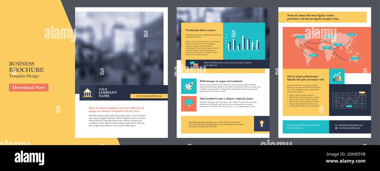 Vorlage für den Geschäftsbericht des Unternehmens, Deckblatt, Katalog, Broschüre, Broschüre, Broschüre, Flyer-Vorlage, Zeitschrift im format a4. Elemente der Infografiken für Bericht A Stock Vektor