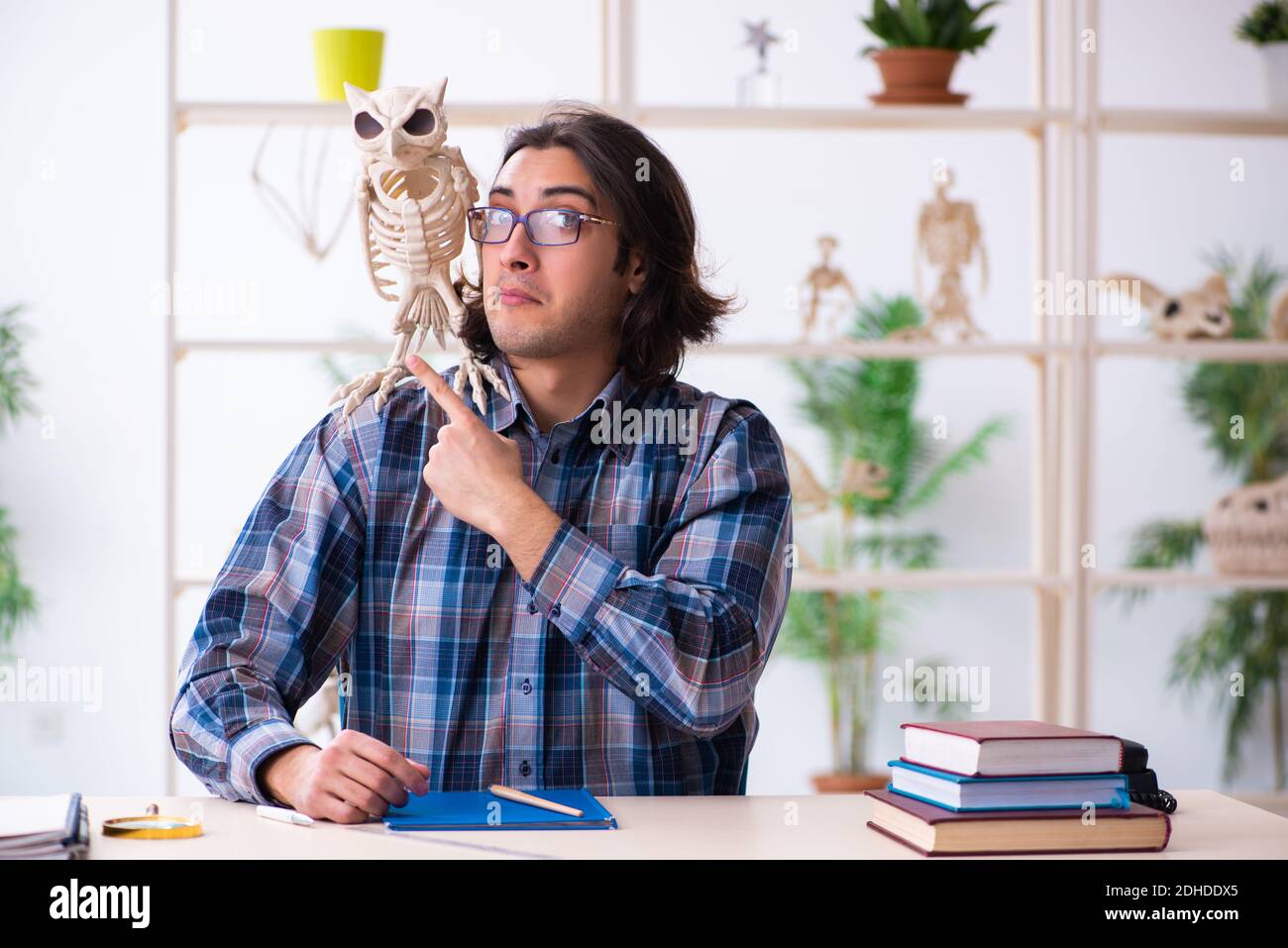 Junger männlicher Lehrer Paläontologe im Klassenzimmer Stockfoto