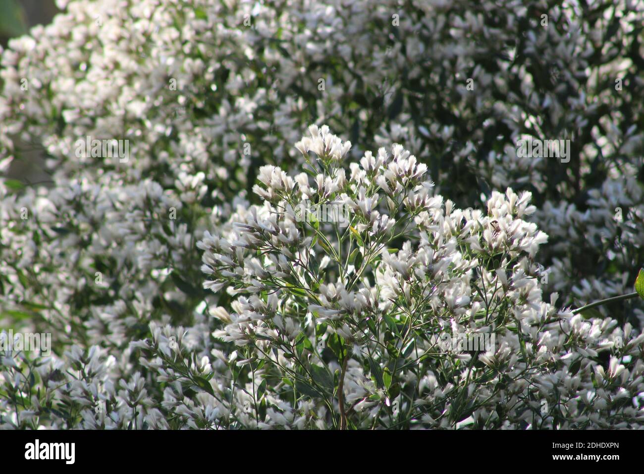 Providence Canyon Stockfoto