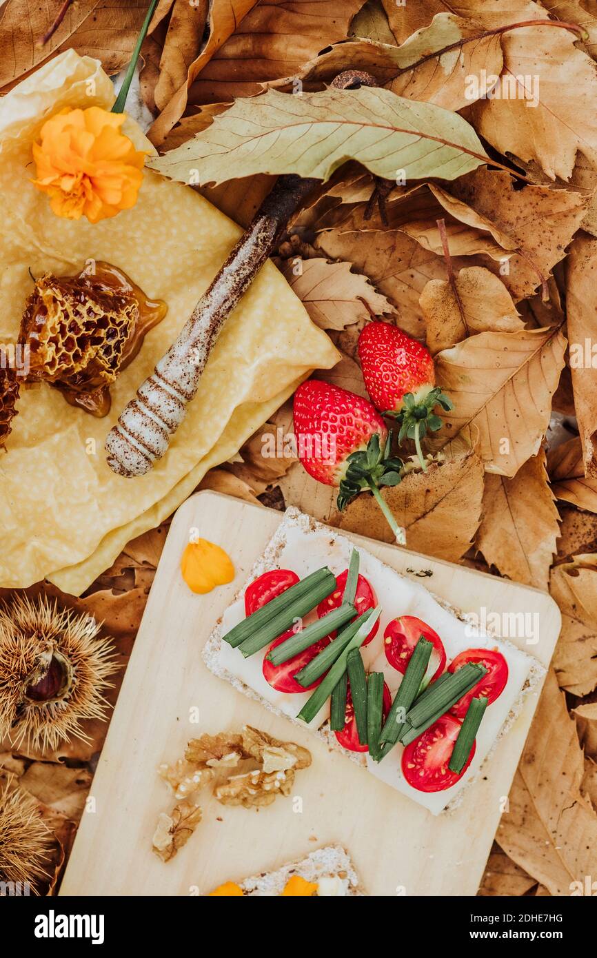 Ein Stillleben Brunch in der Natur Stockfoto