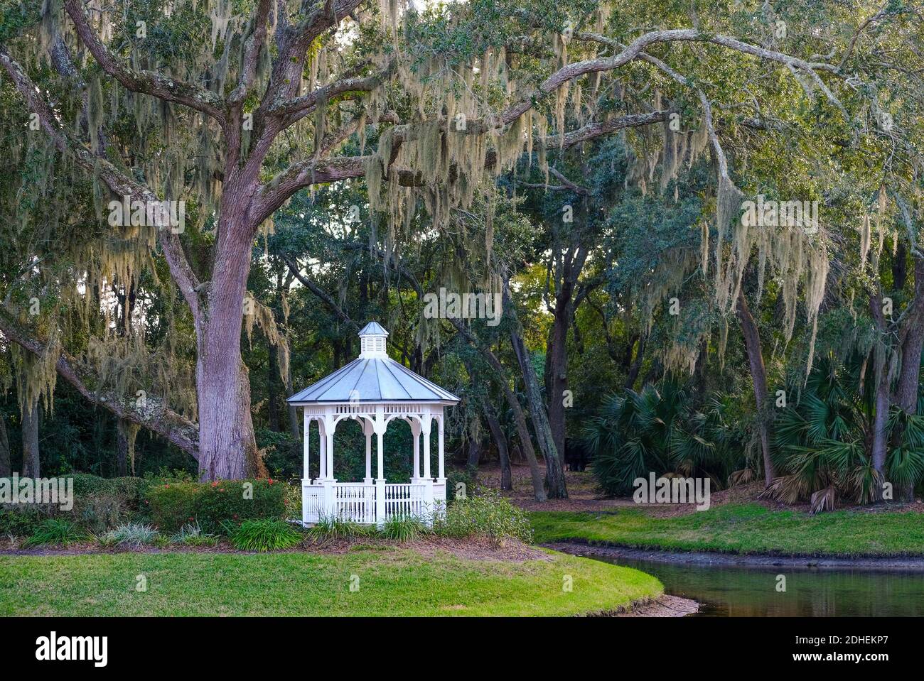 Weißer Pavillon unter spanischem Moos in einem südlichen Park Stockfoto