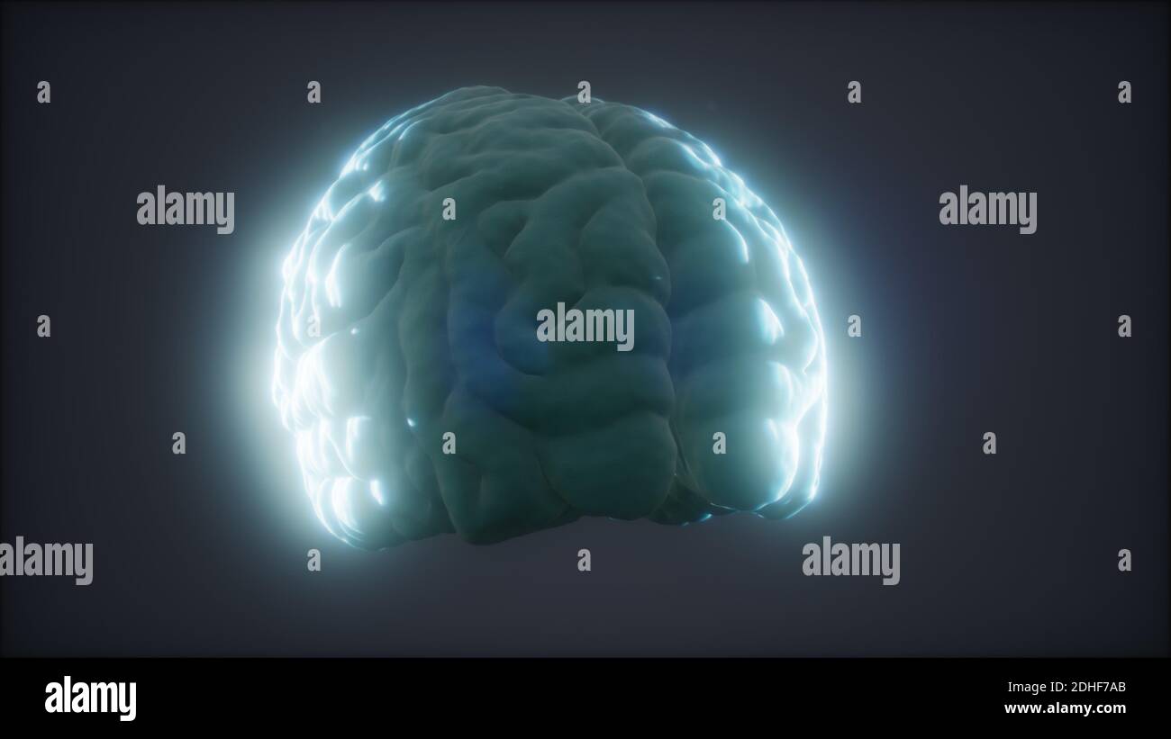 Schleife Drehen menschliche Gehirn Animation Stockfoto