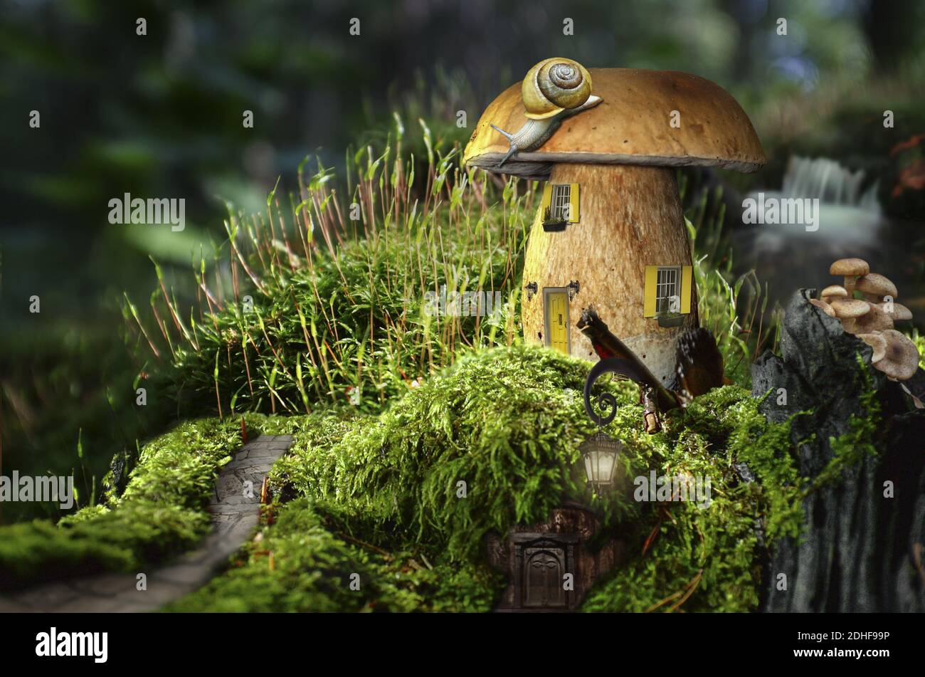 Feenhaus (Pilz) Stockfoto