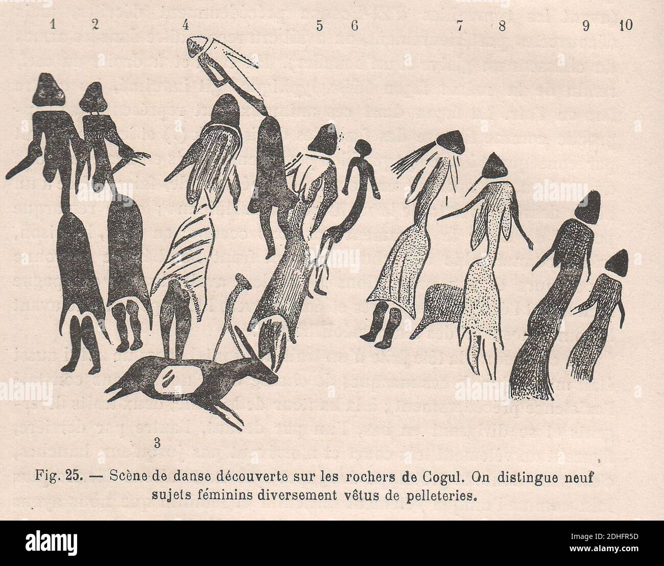 La pelleterie et le vêtement de fourrure dans l'antiquité (Seite 048). Stockfoto