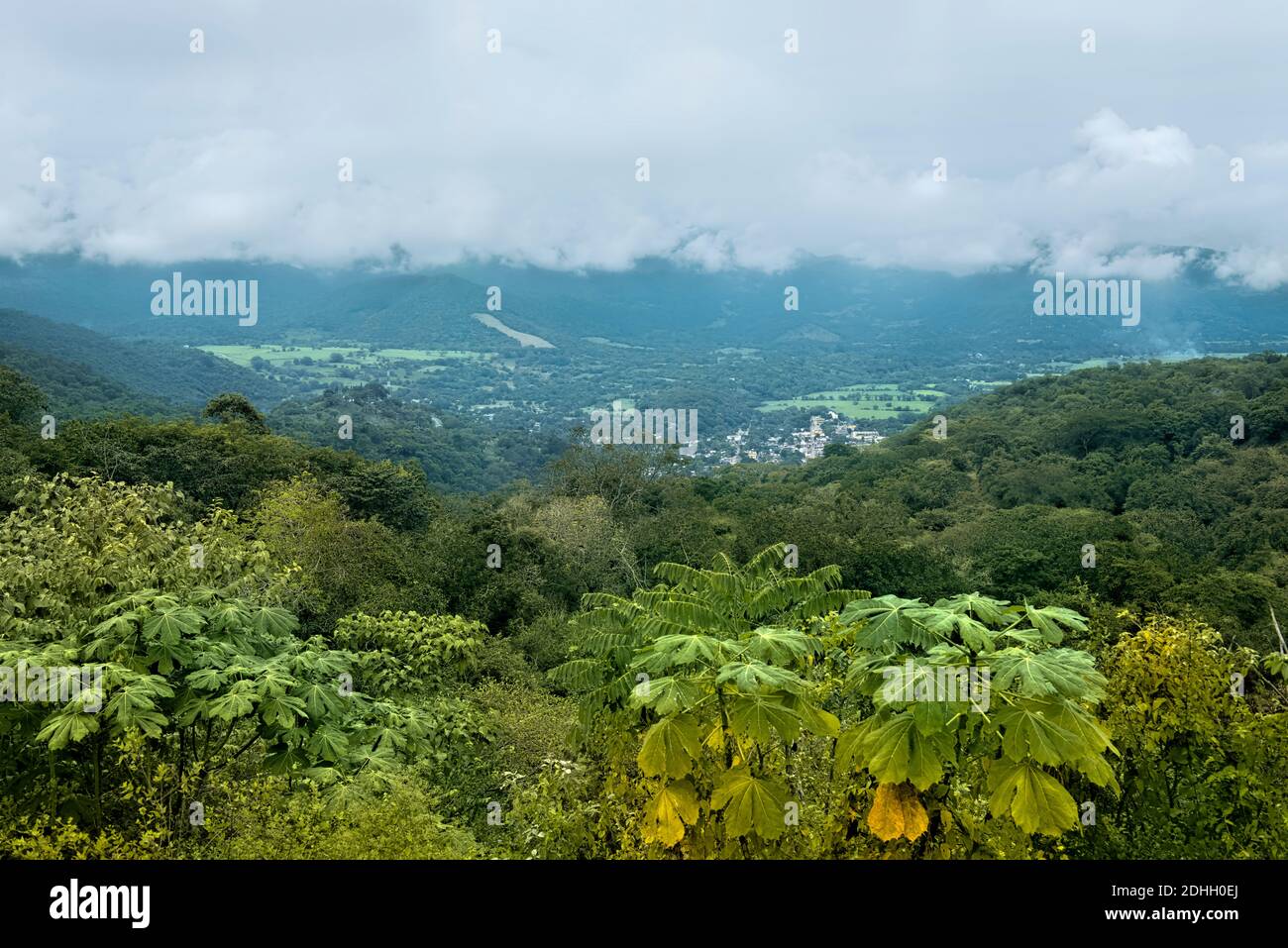 Grüner, nasser Untergrund über Tamasopo, Huasteca Potosina, San Luis Potosi, Mexiko Stockfoto