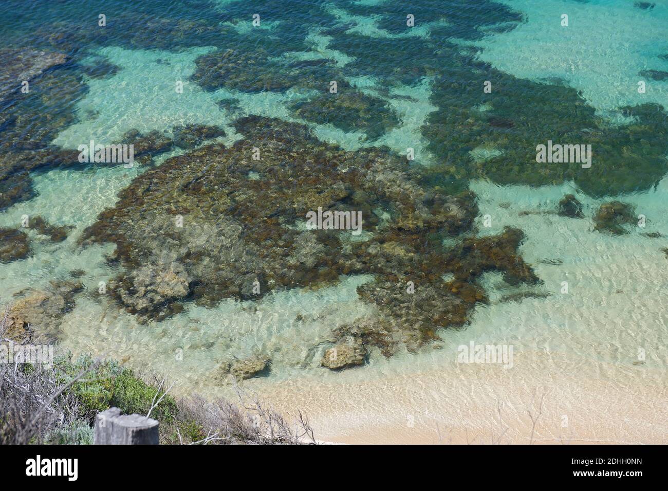 Australien unter dem Meer - ein mit Algen bedeckter Felsen, der wie eine Karte von Australien aussieht, in Port Phillip Bay, nahe Point Nepean in Victoria, Australien. Stockfoto