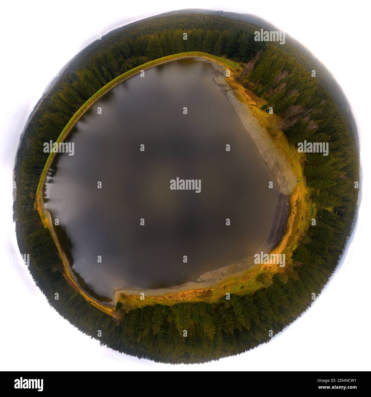 Stereoskopische kugelförmige Projektion kleiner Planet eines kleinen Teiches umgeben Durch einen dichten Nadelwald Stockfoto