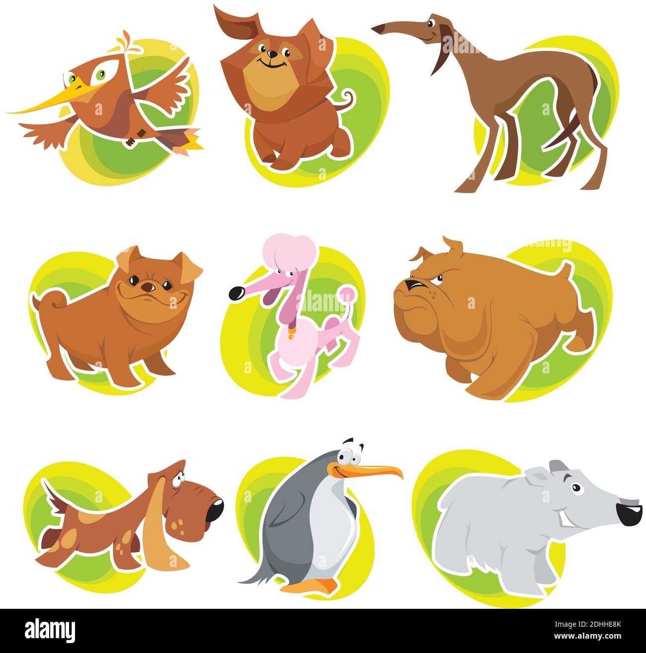 Vektor Tiere Charaktere in coolen CartoonStil Alamy