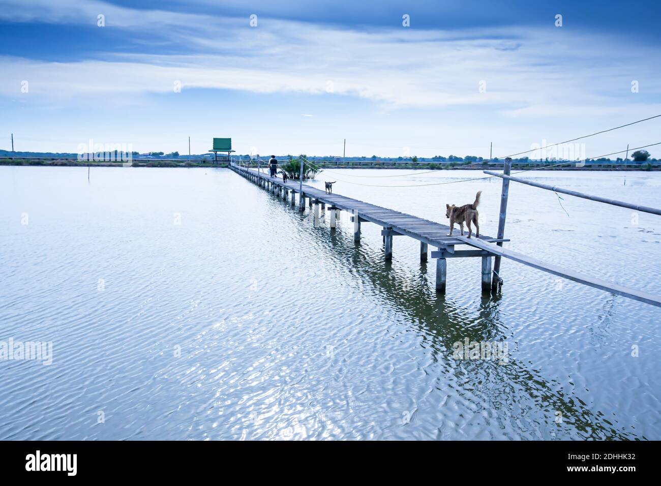 Einheimische mit Haustieren, die in der Dämmerung über die lange hölzerne Fußgängerbrücke über den See gehen, ländliche Szene in der Nähe des Golfs von Thailand. Selektiver Fokus. Stockfoto