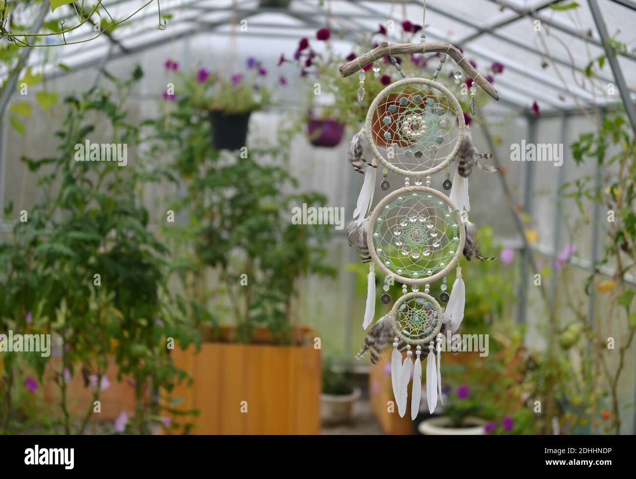 Schöner Boho-Traumfänger mit Federn und Perlen gegen Blumen und Pflanzen.  Mystischer Hintergrund mit Traumfänger, esoterischem und okkulten Konzept  Stockfotografie - Alamy