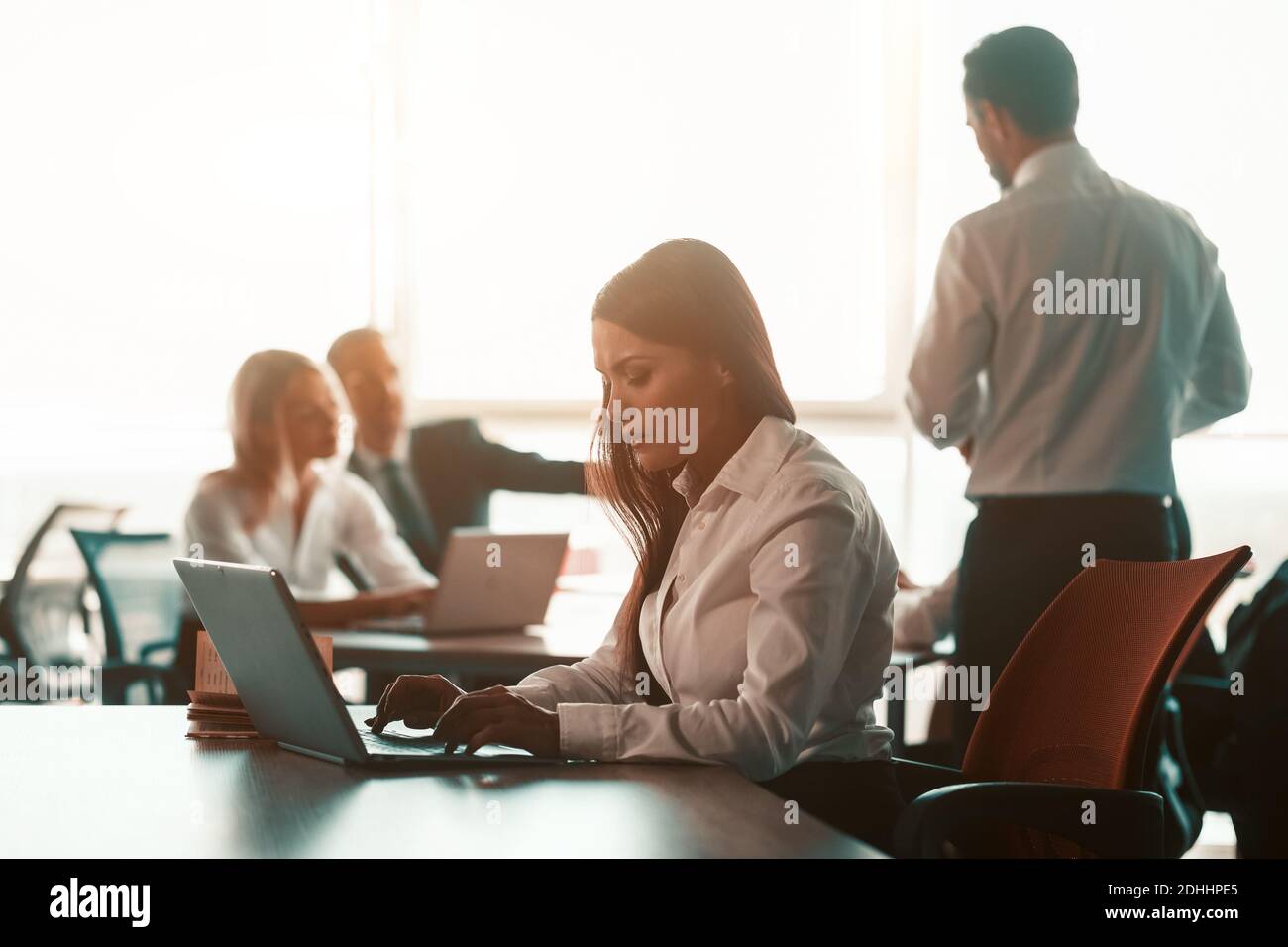 Führungskräfte arbeiten in Teamarbeit mit einer freiberuflichen Frau, die in einem modernen Büro am Arbeitsplatz mit einem Laptop arbeitet. Corporate Business Team Konzept Stockfoto