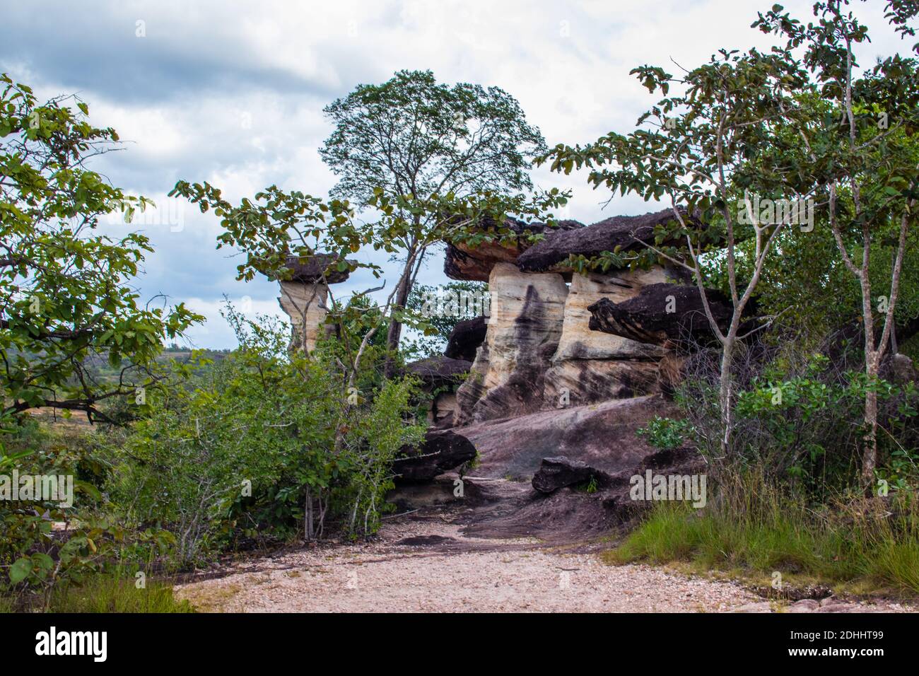 Die Sao Chaliang Felsschnitzereien im Pha Taem Nationalpark In der Provinz Ubon Ratchathan Thailand Asien Stockfoto