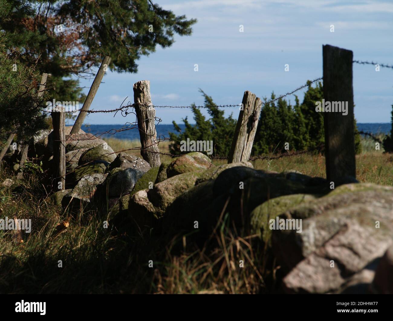 Eine selektive Fokusaufnahme von Stacheldraht auf Holzmasten, Zaun auf Oland, Ostsee im Hintergrund Stockfoto