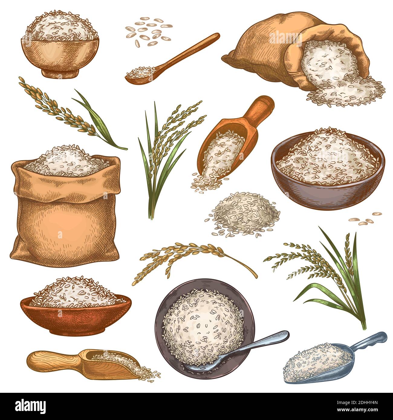 Reissäcke und Getreide. Vintage Taschen, Schalen und Kugeln mit Körnern. Ohrspitzen und Samenhaufen. Bunte gravierte Bauernhof Bio-Lebensmittel-Vektor-Set Stock Vektor