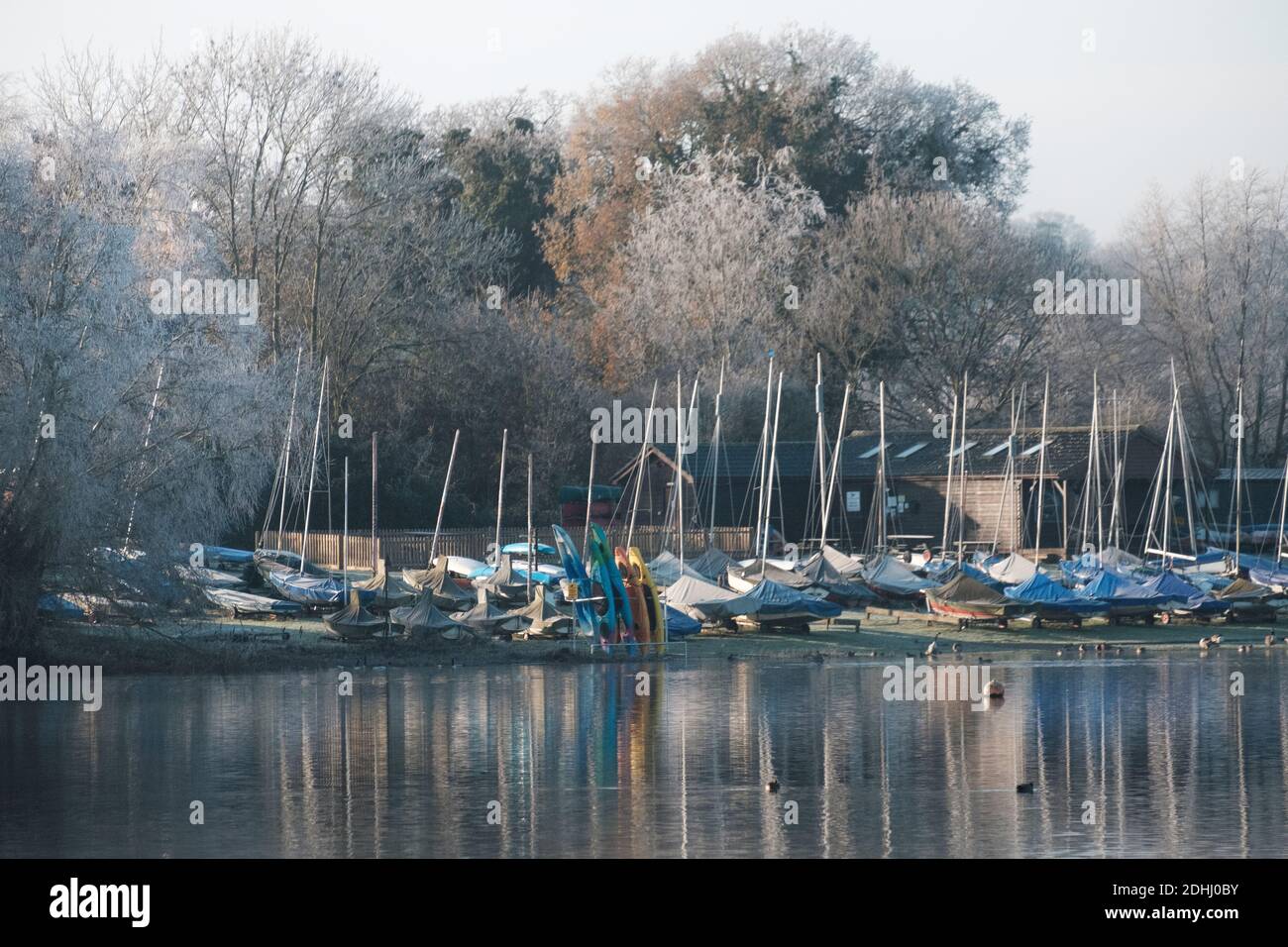 Segelboote an einem frostigen Wintertag in St. Edmundsbury Sailing & Canoeing Association , Lackford Lakes, Suffolk East Anglia Stockfoto