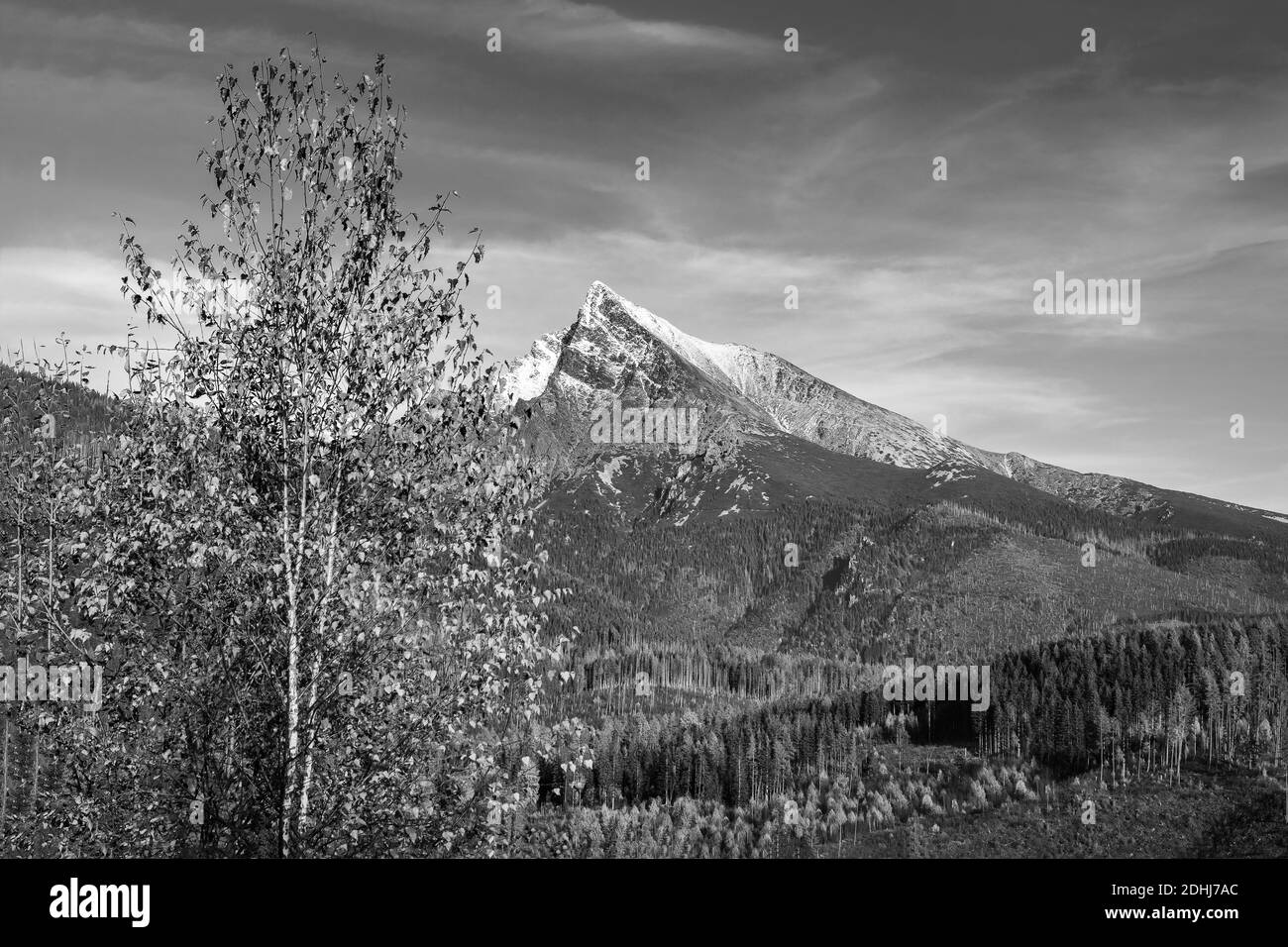 Wunderschöne Natur und Wasserfall im Slowakischen Paradies, Slowakei Stockfoto